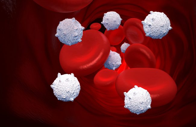 Low volume blood RNA kits