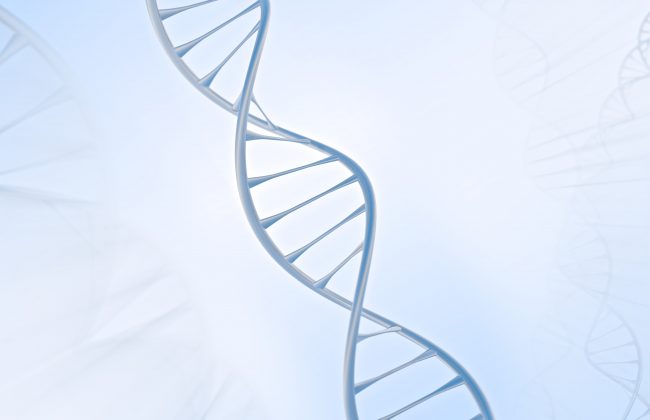 Low volume buffy coat DNA kits