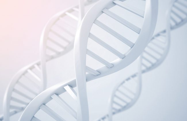 viral nucleic acids and genomic DNA Kits