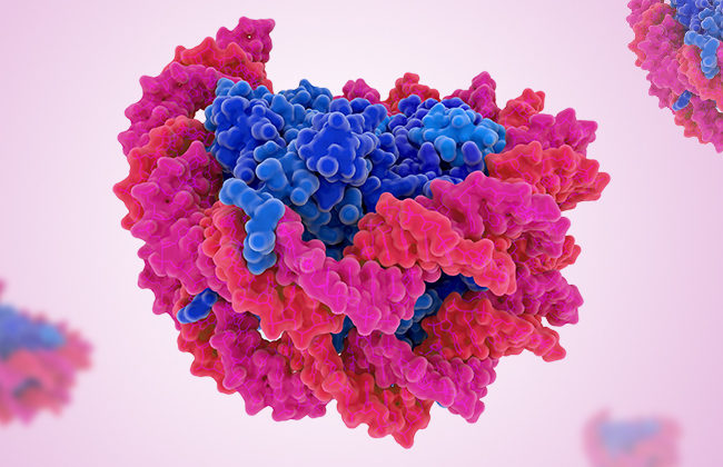 Medium volume cfDNA purification from plasma