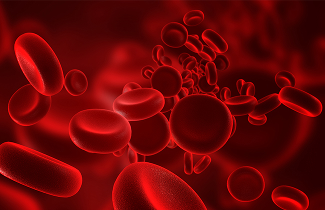 Automated nucleic acid purification for biobanks