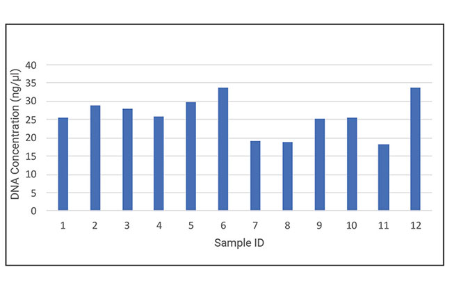 Automated nucleic acid extraction from HepG2 cells