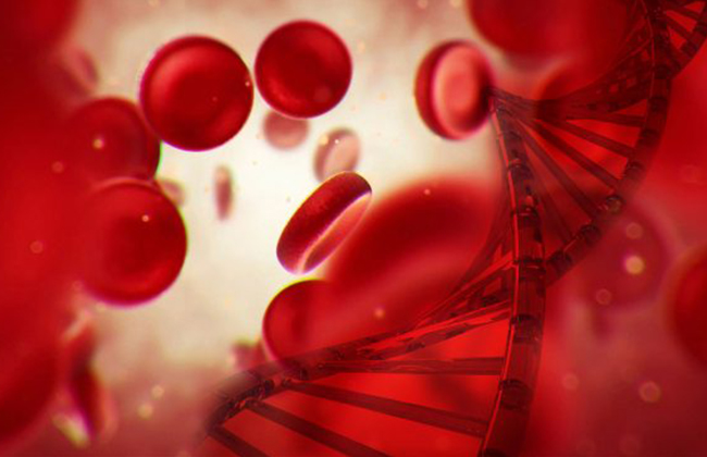 HMW DNA extraction