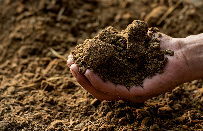 Automated DNA Extraction from soil